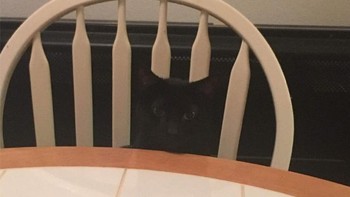 Kursi itu tidak patah kok. Foto: Boredpanda