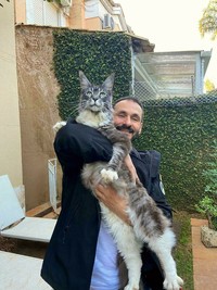 Fotoinet Kucing raksasa