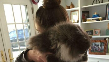 “Seperti halnya kita, membawa kelebihan berat badan memberi tekanan ekstra pada persendian, membuat organ bekerja lebih keras, dan dapat mengganggu fungsi normal tubuh,” katanya. Foto: Boredpanda