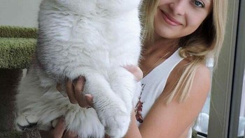 Kucing menggemaskan dan besar. Foto: Boredpanda