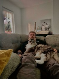 Fotoinet Kucing raksasa