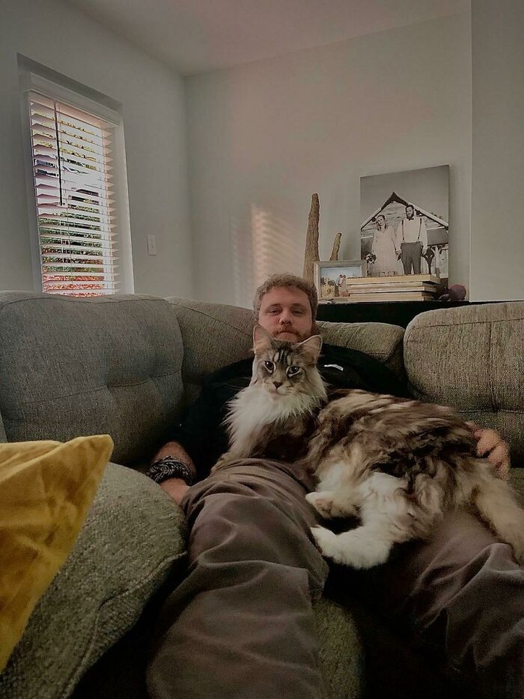 Fotoinet Kucing raksasa