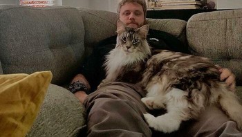 “Sangat penting bahwa jika kucing Anda mungkin memiliki kondisi kesehatan yang mendasarinya, Anda melakukan segala yang mungkin untuk menjaga mereka tetap sehat sehingga kondisinya tidak menjadi lebih buruk atau dibawa ke depan sejak dini. ujarnya. Foto: Boredpanda