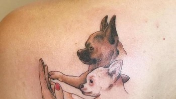 Dua ekor anjing. Foto: Boredpanda
