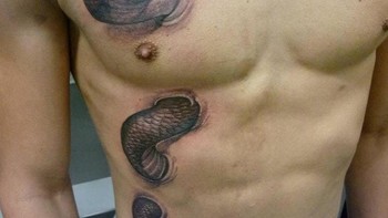 Ular cobra.  Foto: Boredpanda