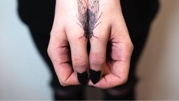 Gambar lalat gabungan dari tangan. Foto: Boredpanda
