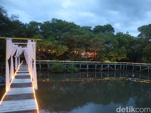 Ini Spot Mangrove di Jepara, Sunsetnya Tiada Dua