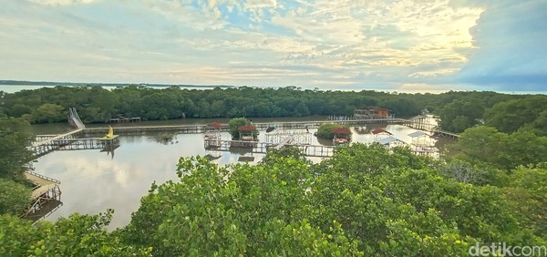 Pengunjung Hutan Mangrove Glagah Wangi, Jepara bisa menaiki gardu pandang dengan ketinggian sekitar 10 meter untuk melihat hutan mangrove dari atas. Wisatawan pun menikmati keindahan alam hutan mangrove. Pengunjung Hutan Mangrove Glagah Wangi, Jepara bisa menaiki gardu pandang dengan ketinggian sekitar 10 meter untuk melihat hutan mangrove dari atas. Wisatawan pun menikmati keindahan alam hutan mangrove.