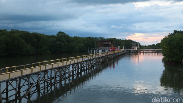 Traveler akan merasakan hal yang berbeda saat berkunjung di wisata Hutan Mangrove Glagah Wangi, Jepara, Jawa Tengah. Saat sore hari, destinasi ini begitu cantik. Traveler akan merasakan hal yang berbeda saat berkunjung di wisata Hutan Mangrove Glagah Wangi, Jepara, Jawa Tengah. Saat sore hari, destinasi ini begitu cantik.