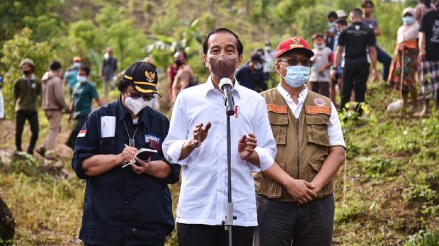 Jokowi menanam pohon di Mandalika, Sabtu (13/11)