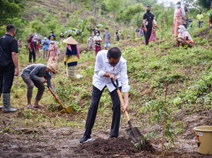 Tanam Pohon, Jokowi Hijaukan Mandalika