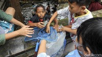 Sembari dibersihkan oleh orang tua, anak-anak asik bermain air dan mencari ikan di sendang.