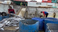 Saat ini, wilayah Indonesia secara bertahap telah mengalami peralihan dari musim kemarau ke musim hujan. Para nelayan Muara Baru, Jakarta, pun mewaspadai potensi cuaca ekstrem saat pancaroba.
