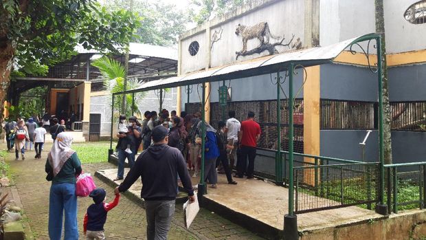 Pengunjung Ragunan naik 100 persen