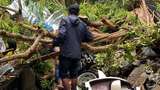 Tragedi Warung Kopi Tertimpa Pohon Tumbang yang Tewaskan 3 Orang