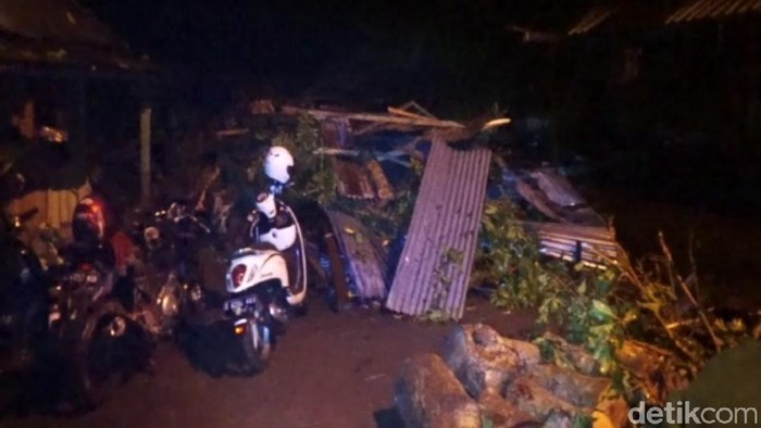 pohon tumbang di mojokerto