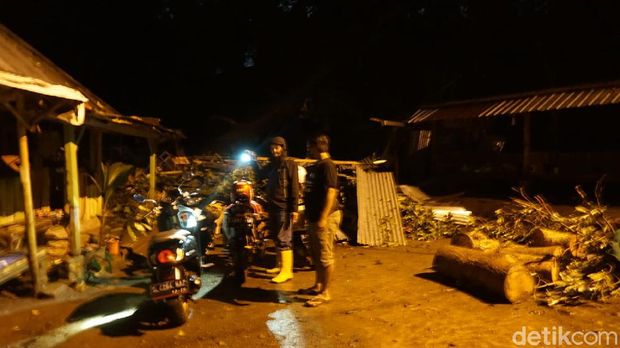 pohon tumbang di mojokerto