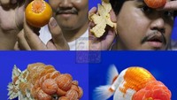 Tiru ikan mas koki yang gemas, netizen ini lakukan cara yang tak terpikirkan. Gunakan beberapa buah jeruk, dirinya meniru ikan mas koki secara detail. Foto: Instagram/lowcostcosplayth