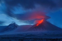 Europe Wildlife Photographer of The Year 2021