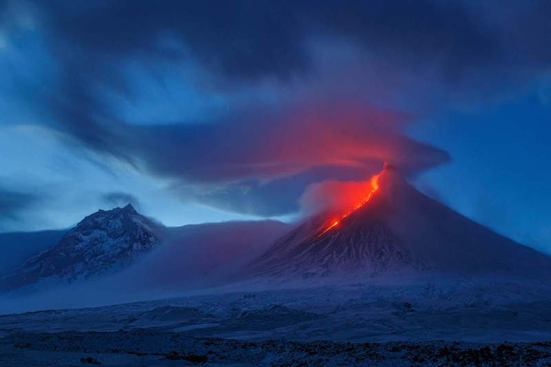 Europe Wildlife Photographer of The Year 2021