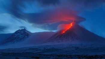 Highly Commended Photos karya Drachenhohle Foto: Europe Wildlife Photographer of The Year