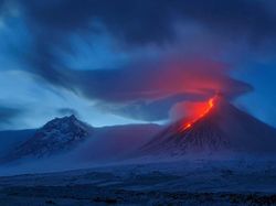 Karya Luar Biasa Jawara Europe Wildlife Photographer 2021