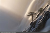 Europe Wildlife Photographer of The Year 2021