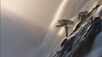 Pemenang kategori Landscapes diraih oleh Annette Mossbacher Foto: Europe Wildlife Photographer of The Year