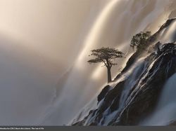 Karya Luar Biasa Jawara Europe Wildlife Photographer 2021