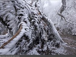 Karya Luar Biasa Jawara Europe Wildlife Photographer 2021