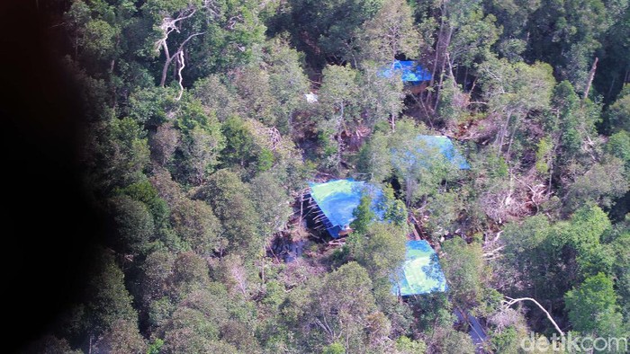 Aktivitas illegal logging di Riau masih terus terjadi. Salah satunya di hutan lindung Suaka Margasatwa (SM) Giam Siak Kecil dan Kerumutan.