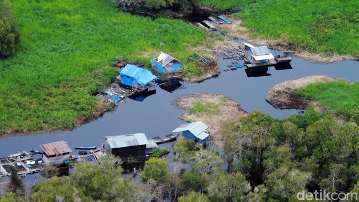 Aktivitas illegal logging di Riau masih terus terjadi. Salah satunya di hutan lindung Suaka Margasatwa (SM) Giam Siak Kecil dan Kerumutan.