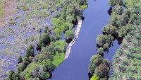 Aktivitas illegal logging di Riau masih terus terjadi. Terutama saat musim hujan, para pelaku memanfaatkan air yang naik di seluruh permukaan sungai sebagai akses.