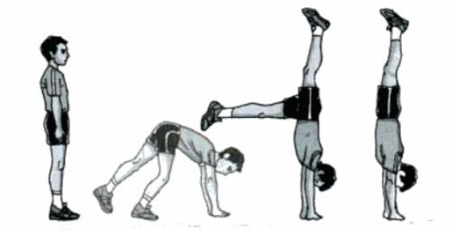 Sikap Handstand Bertumpu Pada