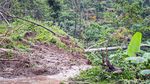 Jalan di Perbukitan Menoreh Kulon Progo Ini Terputus Gegara Longsor