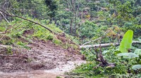 Tanah longsor itu berasal dari tebing dengan ketinggian sekitar 50-80 meter. Longsoran material tanah dari tebing itu menutup jalan kabupaten arah Wates menuju Girimulyo yang juga menjadi akses ke wisata Air Terjun Kedung Pedut.