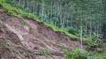 Jalan di Perbukitan Menoreh Kulon Progo Ini Terputus Gegara Longsor