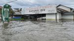 Menengok Aktivitas Warga Terdampak Banjir di Sintang