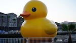 Kwek.. kwek.. Si Bebek Karet Terapung di Osaka