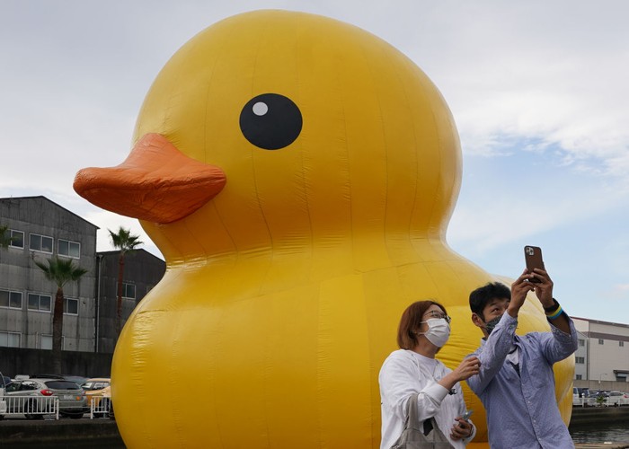 Patung Terapung 'Rubber Duck' Ada di Kota Osaka, Jepang OSAKA, JAPAN - NOVEMBER 14: The 'Rubber Duck' floating sculpture designed by Florentijn Hofman is seen displayed as a part of one day art event Suminoe Art Beat 2021 at the Creative Center Osaka on November 14, 2021 in Osaka, Japan. (Photo by Christopher Jue/Getty Images)