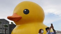 Sebagian besar masyarakat senang dengan kehadiran The Rubber Duck yang membawa keceriaan dalam situasi yang tak menentu akibat pandemi COVID-19.  Foto: Getty Images/Christopher Jue