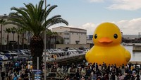 Ini penampakan masyarakat kota Osaka yang sibuk selfie dan mengabadikan momen di lokasi patung raksasa The Rubber Duck.  Foto: Getty Images/Christopher Jue
