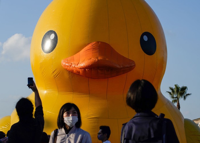 Patung Terapung 'Rubber Duck' Ada di Kota Osaka, Jepang OSAKA, JAPAN - NOVEMBER 14: The 'Rubber Duck' floating sculpture designed by Florentijn Hofman is seen displayed as a part of one day art event Suminoe Art Beat 2021 at the Creative Center Osaka on November 14, 2021 in Osaka, Japan. (Photo by Christopher Jue/Getty Images)