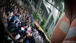 Pengungsi Afghanistan Kembali Geruduk Kantor UNHCR Jakpus
