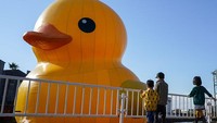 Warga Osaka dihebohkan dengan kemunculan bebek karet berukuran raksasa pada akhir pekan lalu.