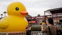 Warga pun antusias berfoto bersama bebek karet raksasa itu. Ada pula yang berfoto bersama anggota keluarga mereka. Bagaimana menurut kamu?