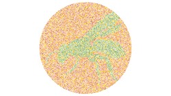 Bisakah kamu menebak siluet hewan yang tersembunyi di gambar ini? Bila enggak bisa jawab setelah baca petunjuknya bisa jadi kamu buta warna.