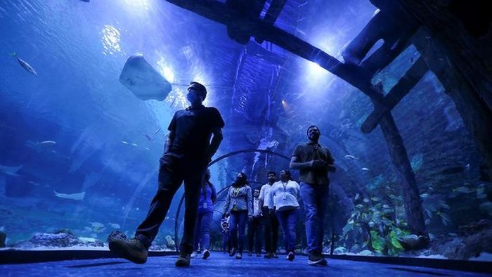 The National Aquarium, Abu Dhabi