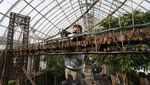 Potret di Balik Pertunjukan Miniatur Kereta Wisata New York