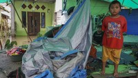 Sebagai informasi, nursery atau persemaian adalah tempat atau area untuk kegiatan memproses benih menjadi bibit/semai yang siap ditanam di lapangan. Persemaian ini bertujuan mengurangi kematian tanaman akibat belum siap dengan kondisi lahan. ANTARA FOTO/Abraham Mudito  